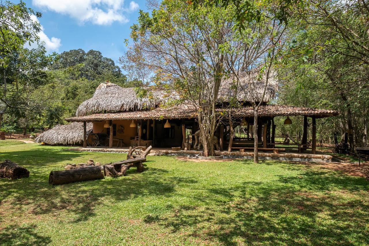 Banyan Camp Villa Hambegamuwa Esterno foto