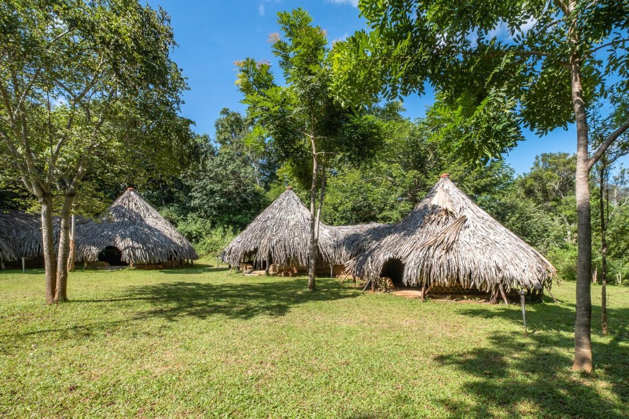 Banyan Camp Villa Hambegamuwa Esterno foto