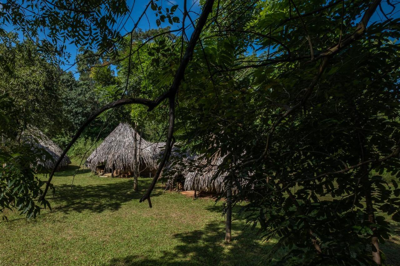 Banyan Camp Villa Hambegamuwa Esterno foto